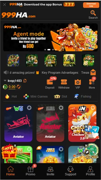 999HA Game